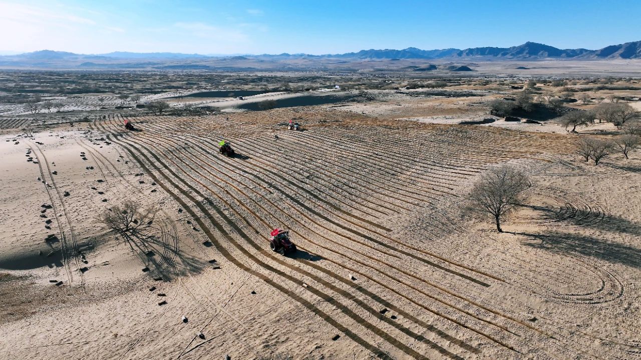 20241202/b32ab1980d278d9e6f23245083331ec9.jpg 20241202/b32ab1980d278d9e6f23245083331ec9.jpg