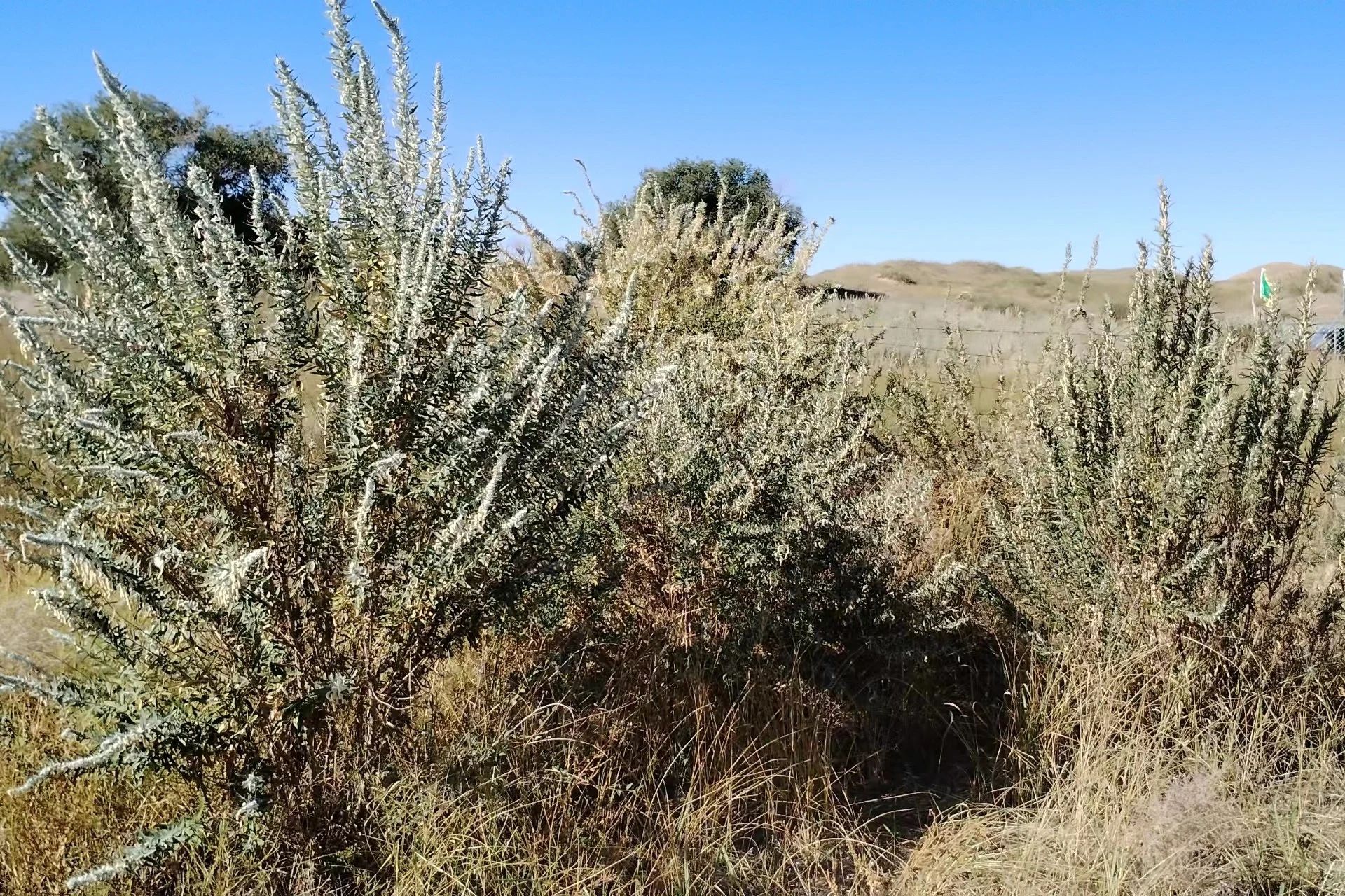 20241226/2d83c2d84348fd0a40568c006da6ed37.jpg 20241226/2d83c2d84348fd0a40568c006da6ed37.jpg