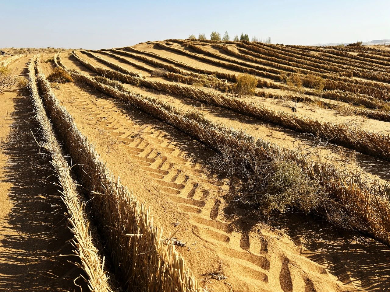 20241226/77889421ba14245f623f8d01c0148364.jpg 20241226/77889421ba14245f623f8d01c0148364.jpg