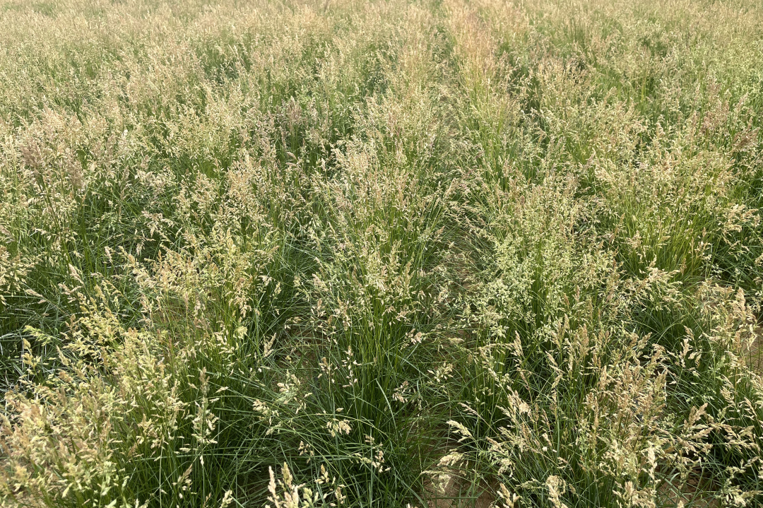 20250109/dd951338e90a427680e43921c851911e.png 20250109/dd951338e90a427680e43921c851911e.png