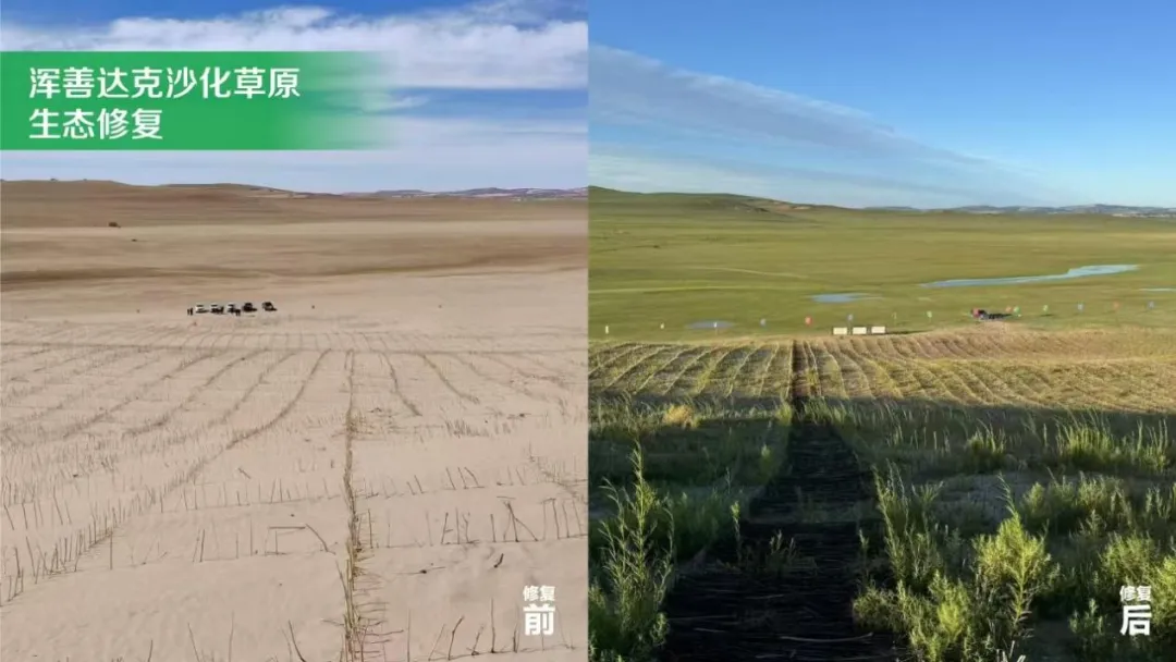 20250127/4004609634bfeaa5605e67c90cab48b3.png 20250127/4004609634bfeaa5605e67c90cab48b3.png