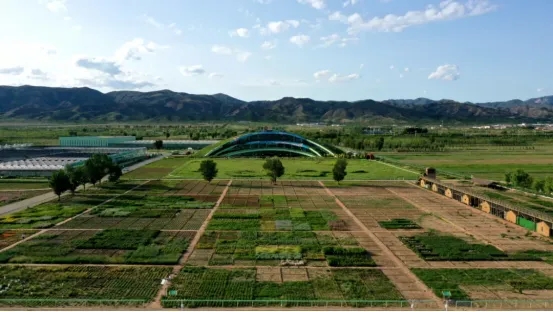 20250225/0c6714c1453fc8761d688787a30b32e6.jpg 20250225/0c6714c1453fc8761d688787a30b32e6.jpg