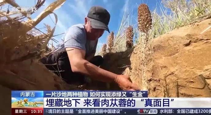 20250225/a49319f174e817014a4065490dcd3725.jpg 20250225/a49319f174e817014a4065490dcd3725.jpg