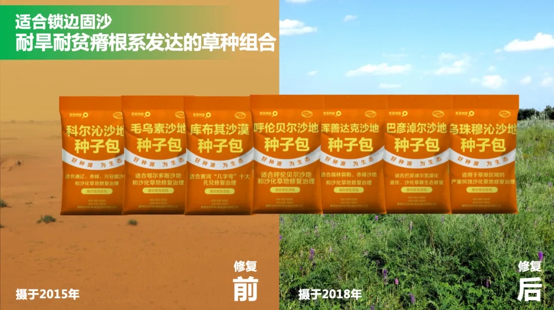 20250225/e709776fe86adea94e3475797e125482.jpg 20250225/e709776fe86adea94e3475797e125482.jpg