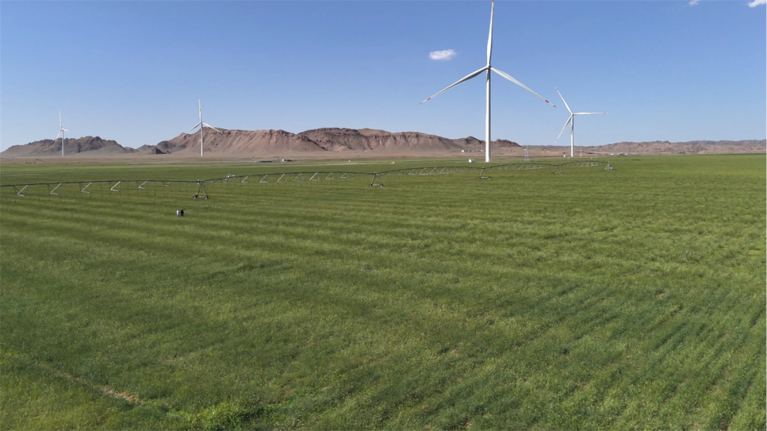 20250908/25024a8c082a952511ae08be7b8a4ead.png 20250908/25024a8c082a952511ae08be7b8a4ead.png